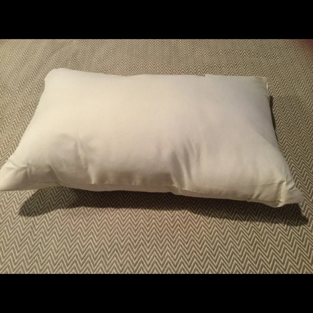 Chic Home Design Throw Pillow
